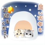 すこちぃとあめちぃず♡冬❄年末年始