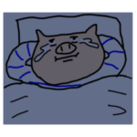 ボーダーぶた〜願・当選〜