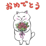 白猫チャオの日常