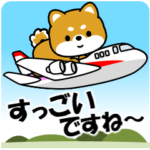 飛び出す！豆柴「乗り物」