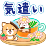 大人のための柴犬♪優しい気遣いスタンプ３