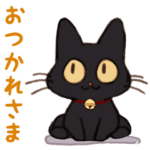 黒猫⭐ベルの日常