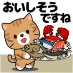 飛び出す！茶トラ猫「食べ物」