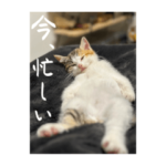 うみ の面白スタンプ