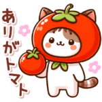 猫のつめあわせ④