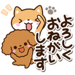 印象的な☆わちゃわちゃドッグ