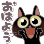 黒ねこの黒豆ちゃん