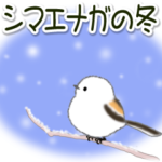 シマエナガの冬