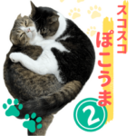スコスコぽこ太郎＆うま次郎スタンプ２