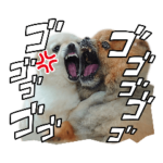 ポメラニアンのポチと子犬さん