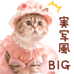 貴族なネコたち