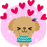 絵本みたいなトイプーの♡いっぱい