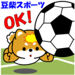 飛び出す！豆柴「スポーツ」