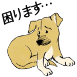 困り顔の保護犬福の日常「つまぼく」編