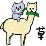 今を生きてる灰色キャット3