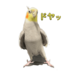 ふ〜たろスタンプ