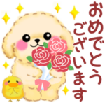 かわいいトイプードル❤️あったかい言葉