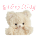 otome to okaka vol.1 メッセージ入り