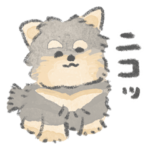 ヨーキーがいるから頑張れる