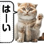 リアル猫のメッセージスタンプ01