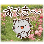 ちびアメ☆気持ちを伝える