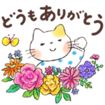 仲良し家族 3「にゃんこ編」