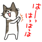 動くナノときなこ4（ハイテンション）