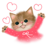猫さんいっぱいセット♡