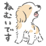 キャバリアがいるから頑張れる