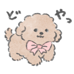 トイプーがいるから頑張れる