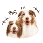 リリガルスタンプ Lillie and Garcello