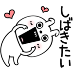 ピタうさぎ挨拶なのかこれは