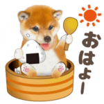 ず〜っと使える かわいい犬たち❤️モグシバ