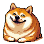 煽りに煽る太っちょ柴犬