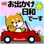 豆柴のぽかぽか春スタンプ