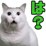 リアル猫ミーム