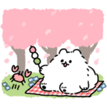 春のポメトーン