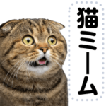 AI猫ミーム@毎日使えるスタンプ