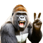 リアル☆ゴリラ  