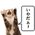 猫ミームであそぼ2