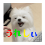 使いにくい犬のスタンプ