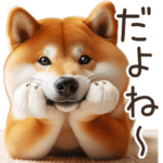 リアルな柴犬面白かわいい