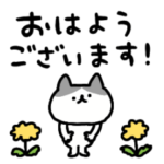 しょぼいハチワレねこ