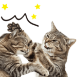 コミカルな猫たち①