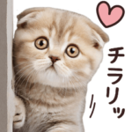ねこさん♡明るくHAPPYな基本スタンプ