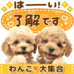 かわいい♡わんこ大集合