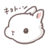 無口です…こうさぎなので…