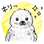 赤ちゃんアザラシのスタンプ