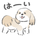 シーズーがいるから頑張れる