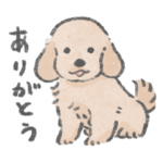 ダックスがいるから頑張れる